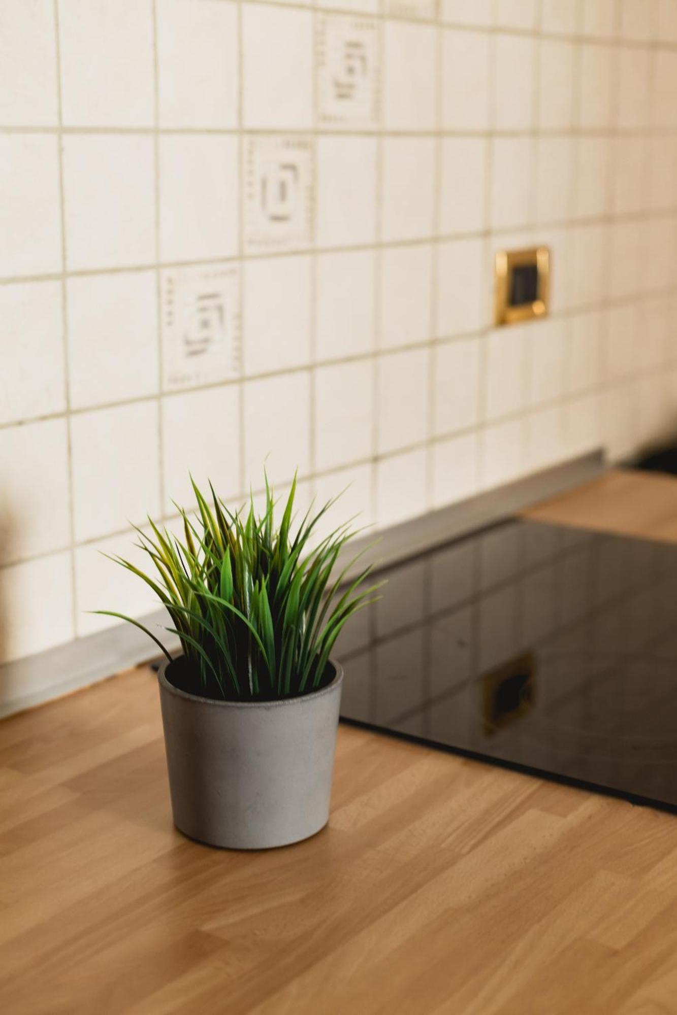 Bergreen Apartments Осана Екстериор снимка